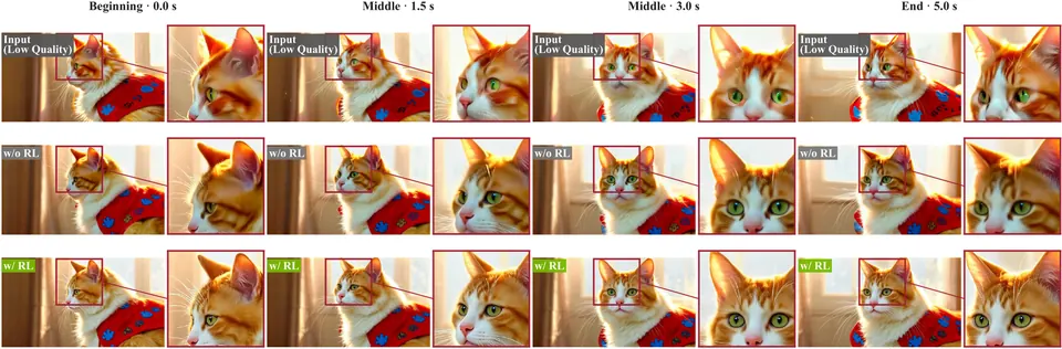 猫视频三种精修结果连续帧